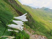 Da Ca San Marco al PASSO-LAGO di VERROBBIO ad anello salendo dall'ALTA VIA MERCATORUM -1lu25  - FOTOGALLERY